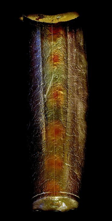 Drew Wood, Archaic, 2007, color-shifting enamel, acrylic, steel wire, and synthetic resin on found iron horse feed container (from Missouri farm) fabricated from a water heater, 13"x44"x6", Lydia Hao Collection
