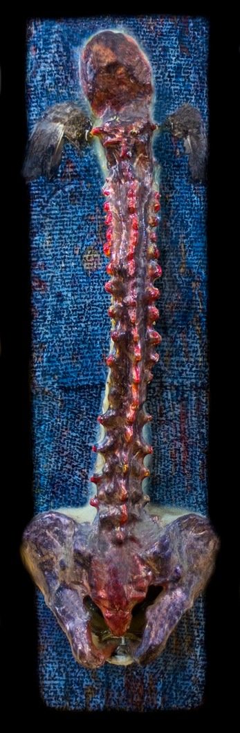Drew Wood, Deditus (addicted), 2006, color-shifting enamel, acrylic, plastic, found bird wings, syringe, and synthetic resin on found wood, 9"x36"x2" 