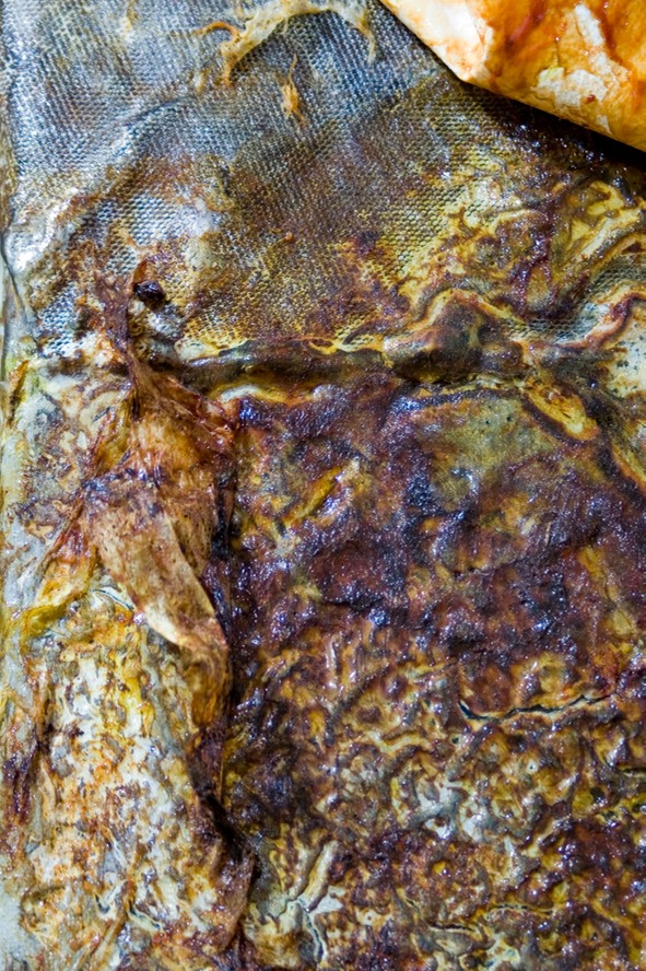 Drew Wood, dermatillomania (detail), 2010, color-shifting and thermal reactive enamel, acrylic, 300lb cold press, steel mesh, found wood, Papaver somniferum flower on canvas, 24"x40"x1"