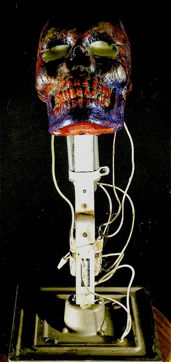 Drew Wood, Puppet Master, 2006, color-shifting enamel, acrylic, phorsphorus, and synthetic resin on found light fixture, 8"x24"x6"